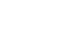 Packinplast Logo